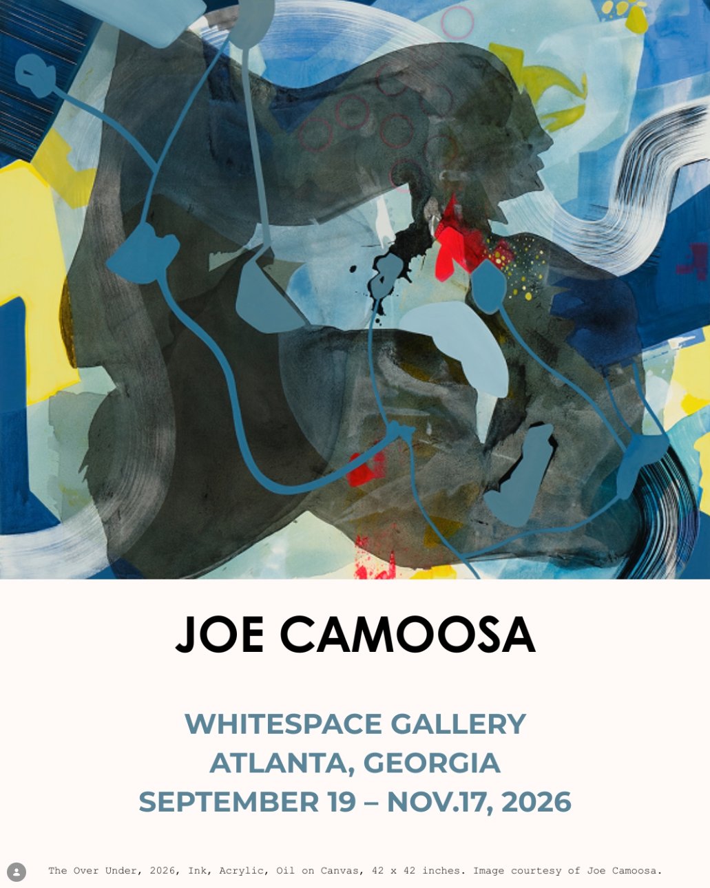 Poster for Flip Side Opening Reception - a solo exhibition by Atlanta-based artist Joe Camoosa